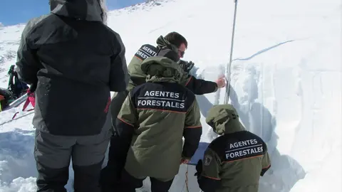 Agentes Forestales de Madrid controlando el estado de la nieve | CAM